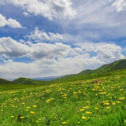 AA重汽王哥（可拉钢卷）