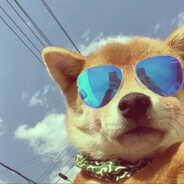 穿路易威登的突破手