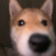 我说大残是我大残