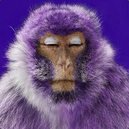 ZiP 56k - steam id 76561197966916479