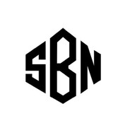 sBn - steam id 76561199106172543