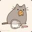 bear5509