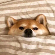 常规大师 山花凉介