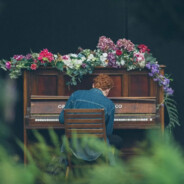 山河破碎风飘絮