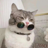 Big Avatar