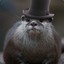 Lord Otter