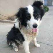 AAA.农家乐.掌管压力的神