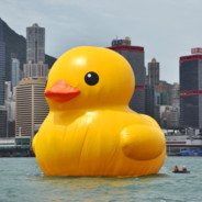 Big Duck Energy