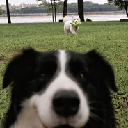 这只是一首LoveSong