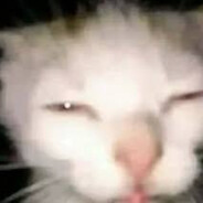 𝕄𝕚ℕ𝕚 ℂ𝕒𝕄