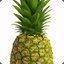 Free Pineapples If You Surrend