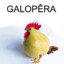 GALOPÊRA