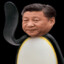 Xi Jinpingu