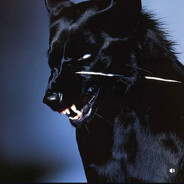 012хххххххххх