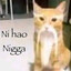 HIV joga