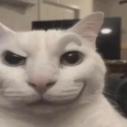 Mr Popcorn avatar
