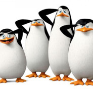 马达加斯加的企鹅