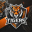 saszka_PL;)_TIGERS