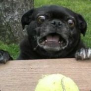 Insane - steam id 76561197970863175