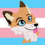 VirtualVixen