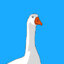 Goose ♡