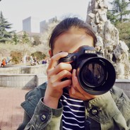 南故里的猫与乔