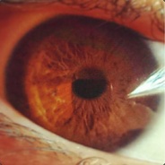 Gคภg Bคภg รtץlє