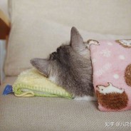 吃掉我的果粒橙