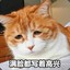 晴晴晴晴晴