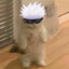 ページ