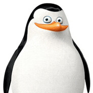 XcQute
