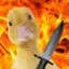 mr. angry duck