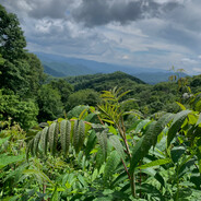 Demarco Boneclevius Ding Dong Jr