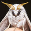 the moth