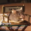 Mr. Jingles