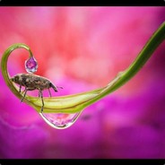 我奶压声第一人