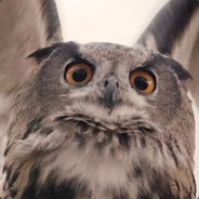 Owtlet