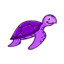 purple turtle