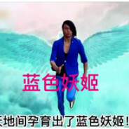 蓝色妖姬你不爱