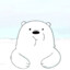 Ice Bear