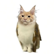 曙豪小狗的主人