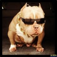 海淀少年宫第一嘴炮