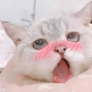 团子