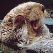 Otter