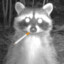 ☦smoking raccoon
