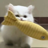 <#ff3399>18岁<#06CCFF>男<#00FFFF>模