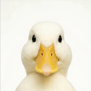 马年享受马嘉祺