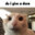 Von_q avatar