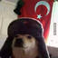 Turkish Doge