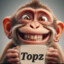 topz_™